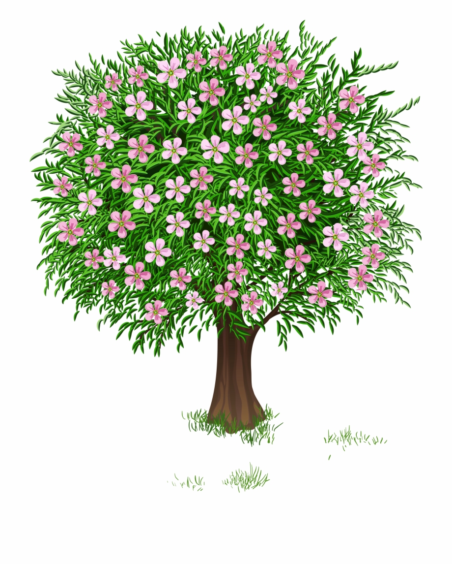 Spring Tree Image Download Transparent Shrub Clip Art