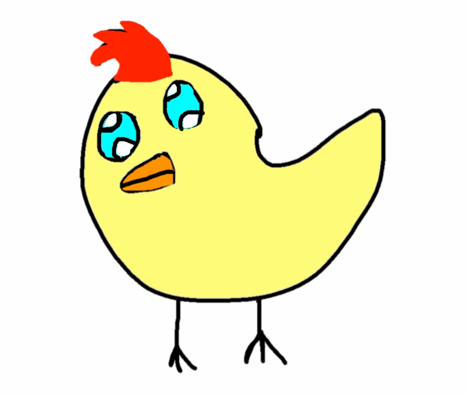 Duck 2 Drawing Copy Chicken