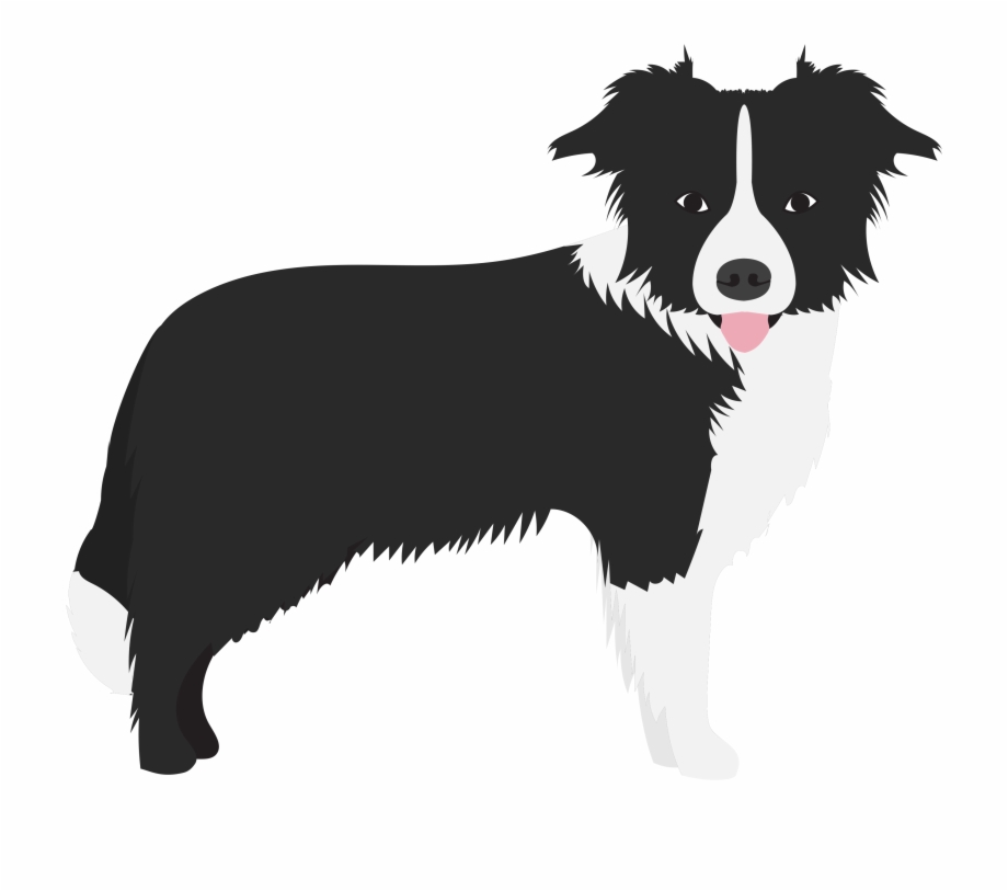 Free Border Collie Silhouette, Download Free Border Collie