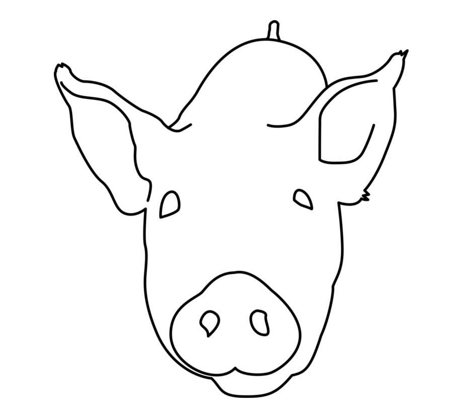 pig head line drawing
