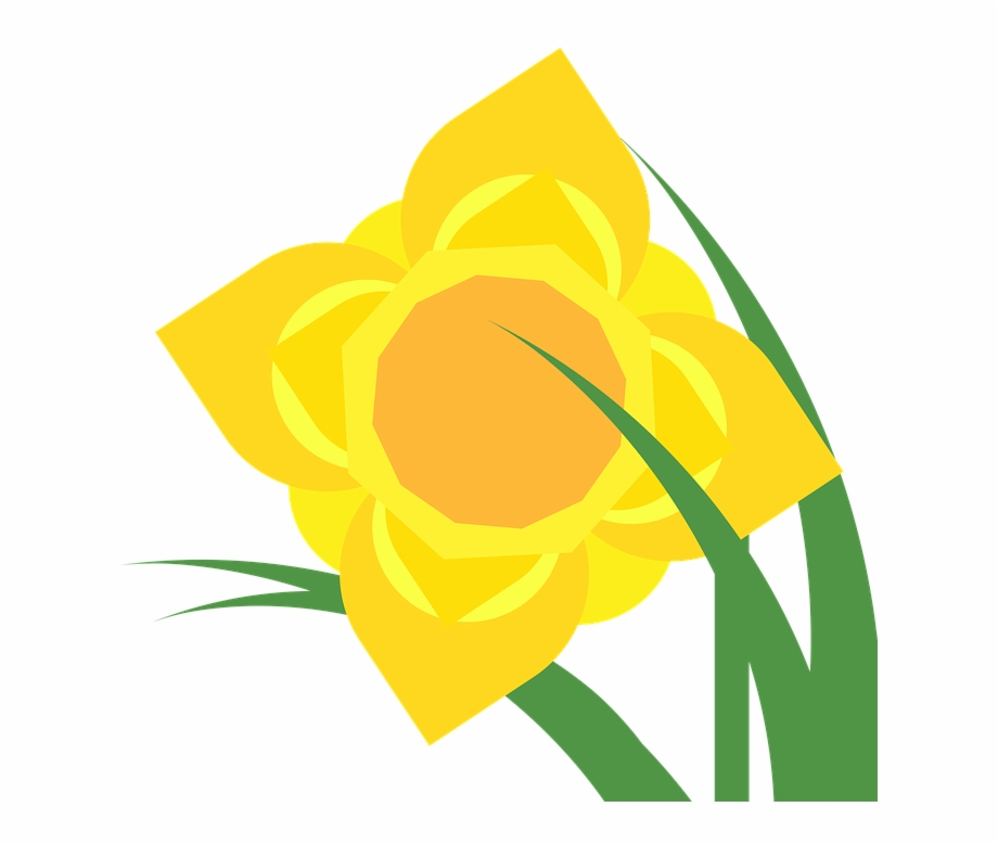 Clipart Daffodil Narcissus Spring Flower Plant
