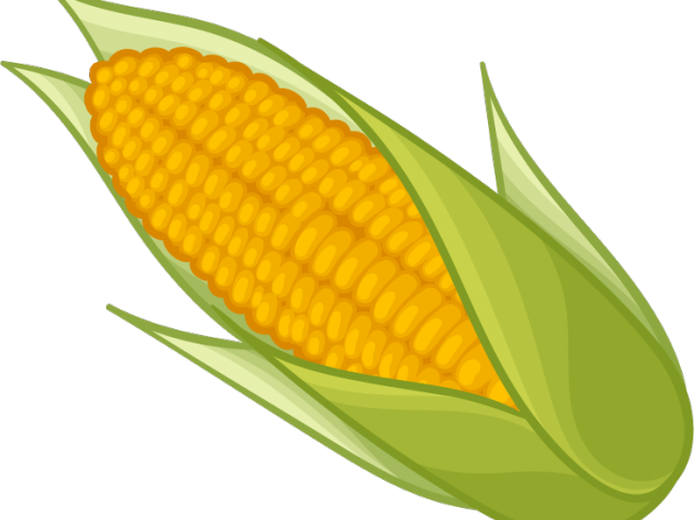 Corn Clipart Yellow Item Transparent Background Corn Clipart