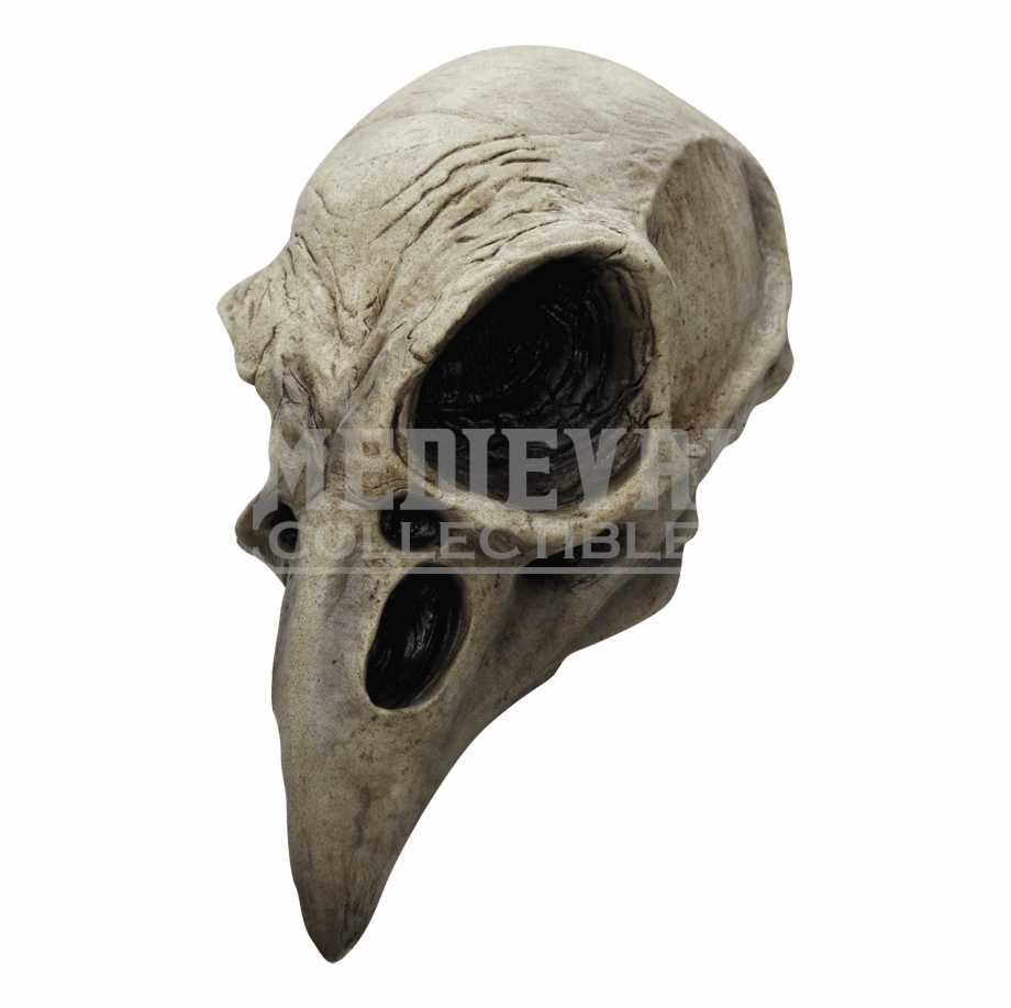 crow skull mask
