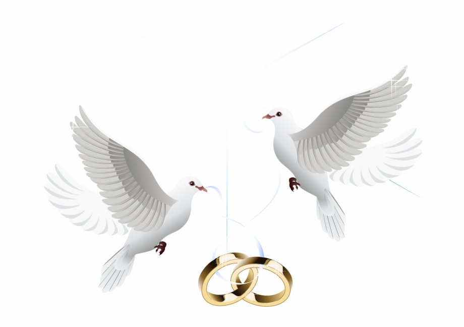 Ring Vector Marriage Wedding Download Hd Png Clipart