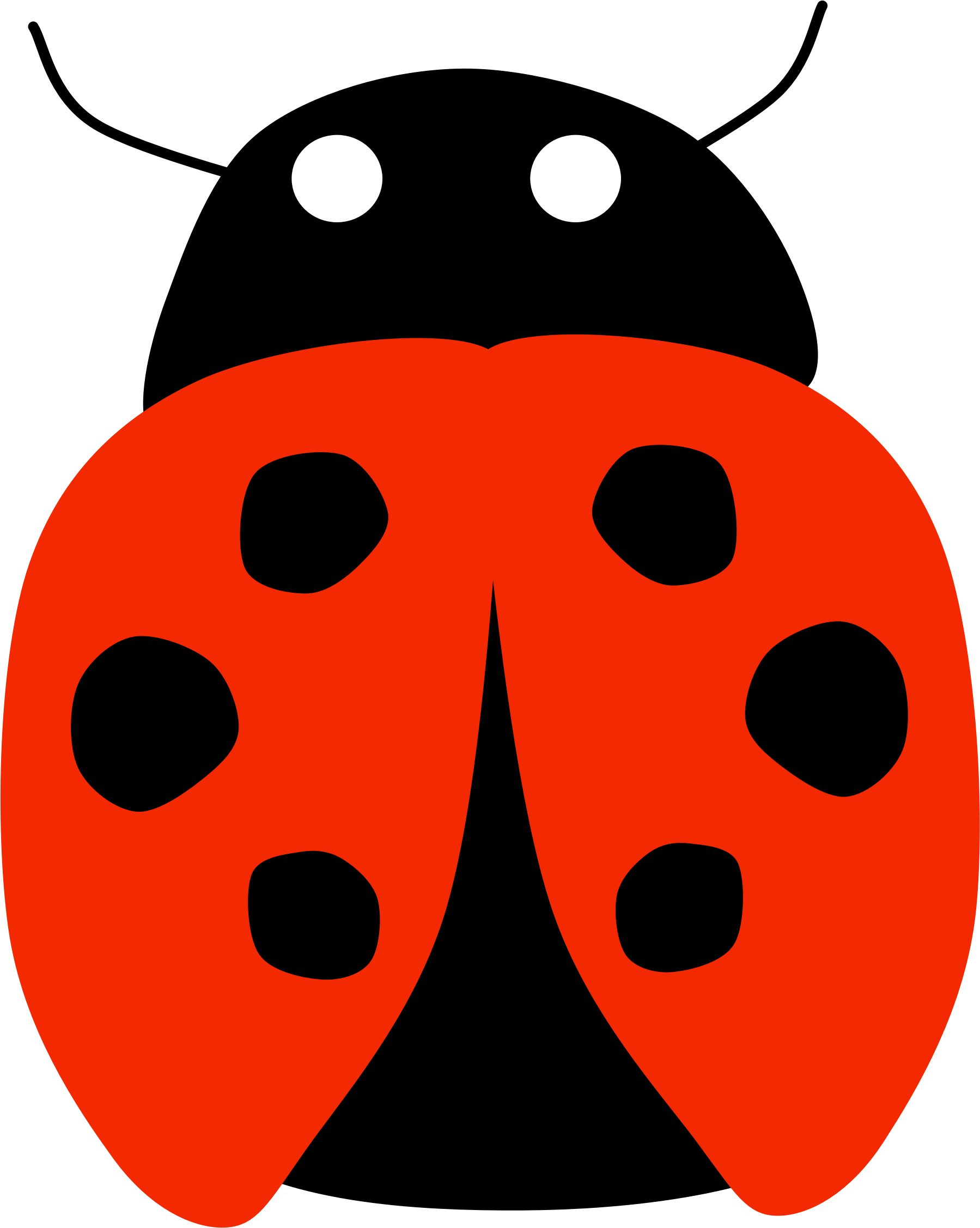 Ladybird beetle
