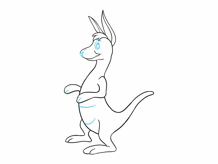 How To Draw Cartoon Kangaroo Cartoon Easy Kangaroo