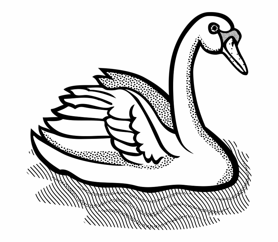 Swan Clipart Black And White