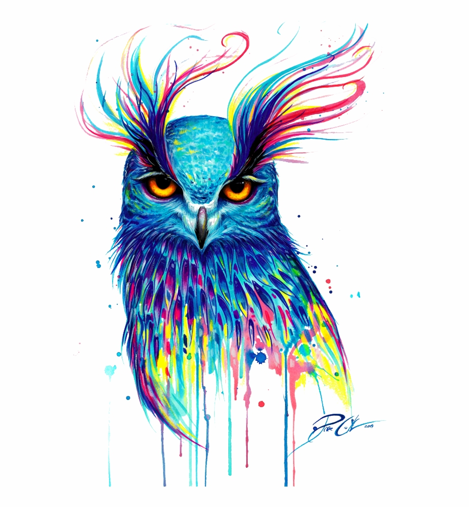 T Shirt Owl Painting Bird Drawing Free Download