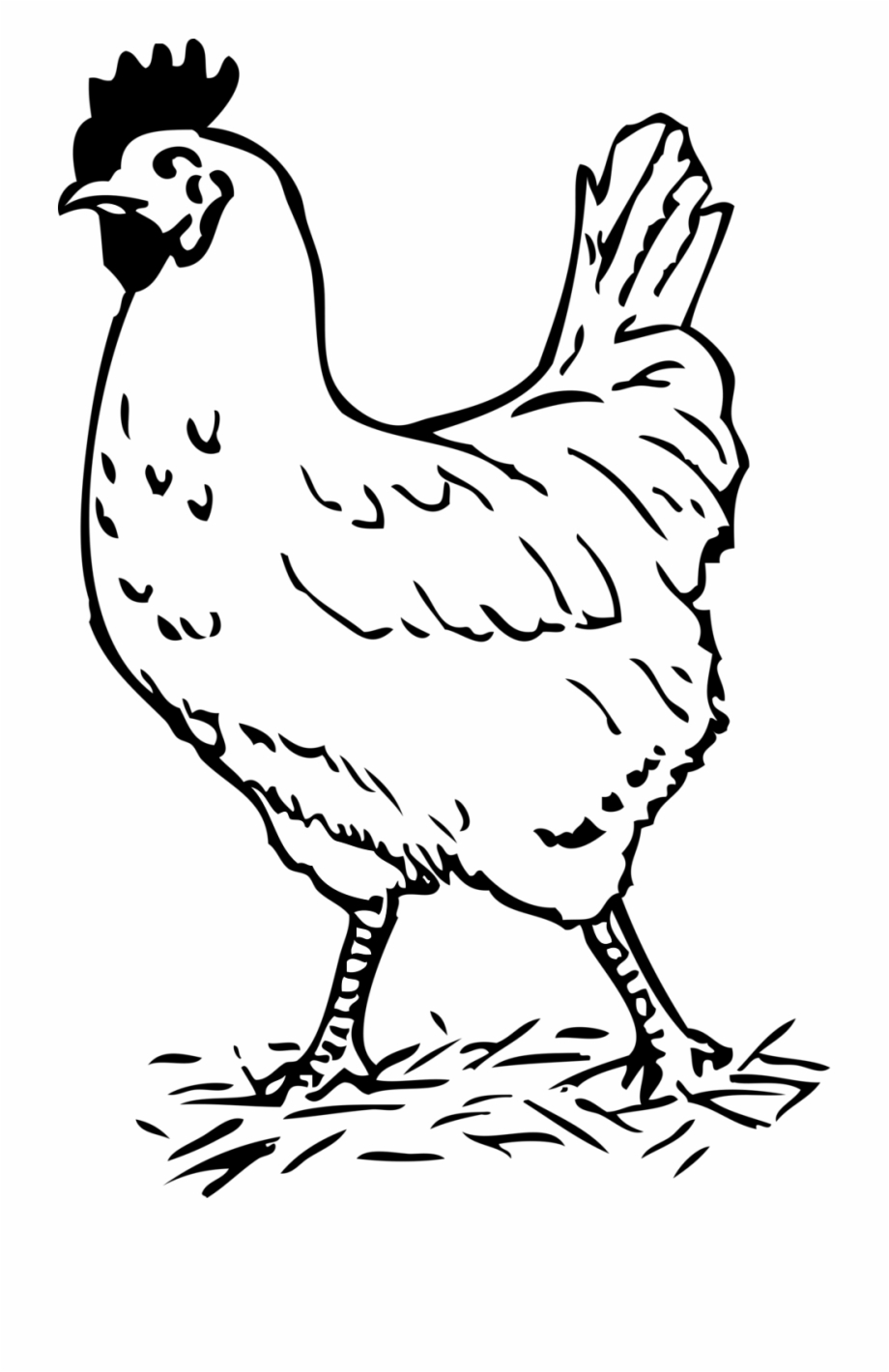 Clipart Black And White Chicken Hen Black And