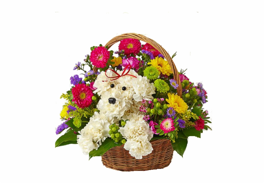 Birthday Flowers Bouquet Png Transparent Image Dog Flower