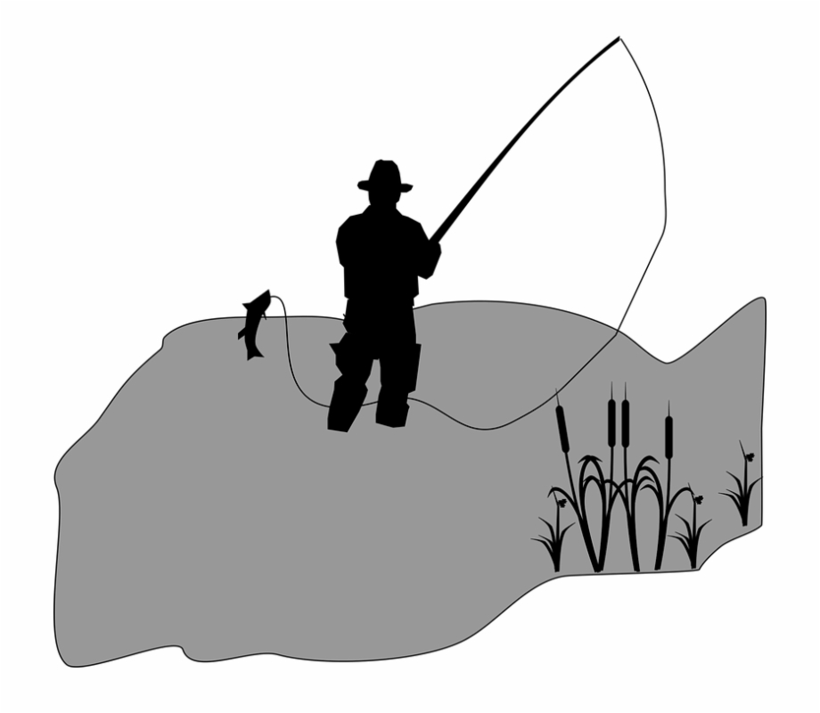 Cattail Fish Fisherman Fishing Sedge Silhouette 