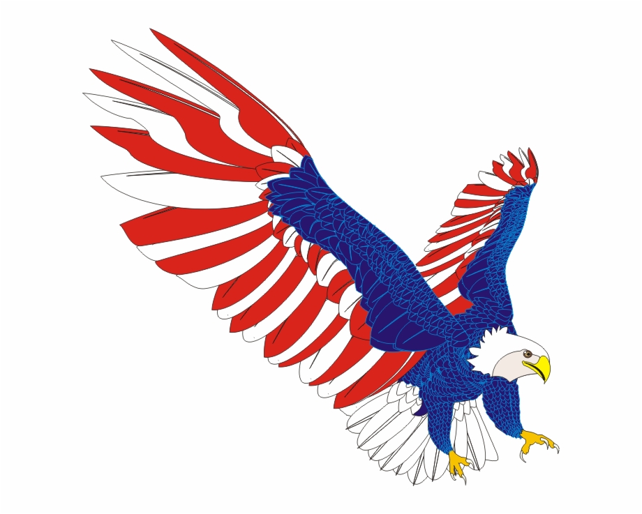 american eagle png
