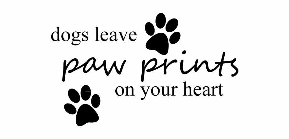 dog leaves paw prints your heart
