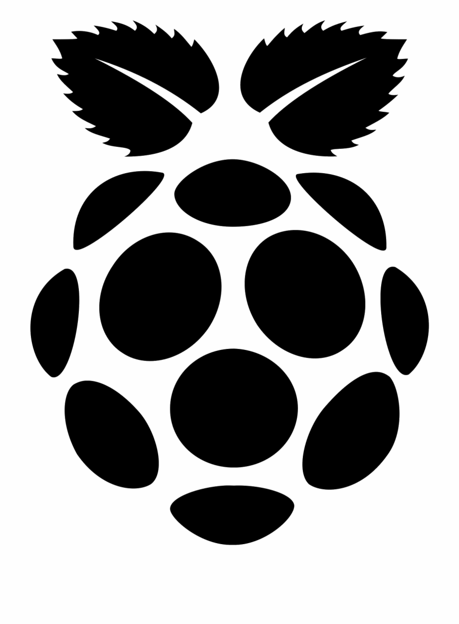Raspberry Pi Filled Icon Raspberry Pi 2 B