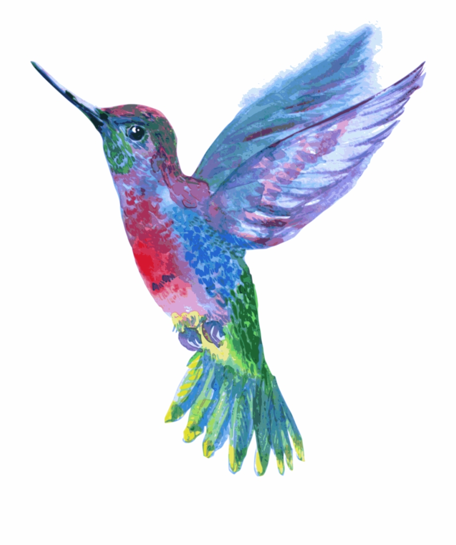 Hummingbird Drawing Png Download Colibri Magenta