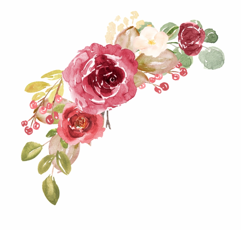 rose watercolor flower transparent background
