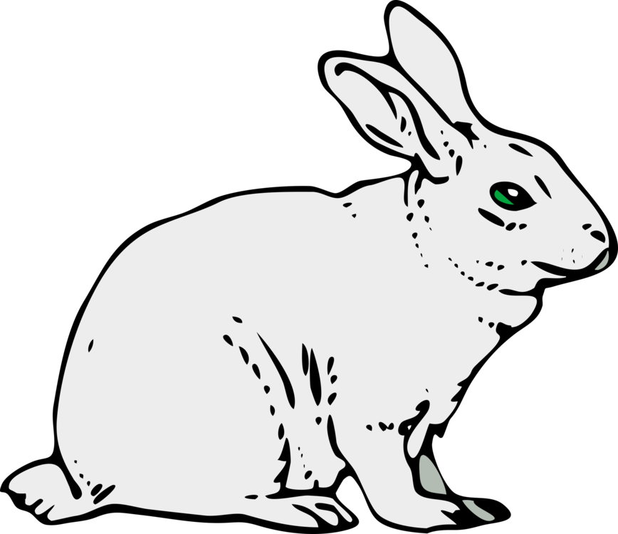 Rabbit Hare Download Blog Document Rabbit Clipart