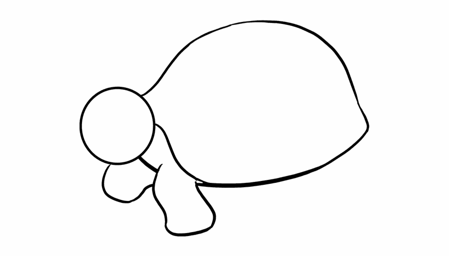 How To Draw Sea Turtle Drawing Of Turtle