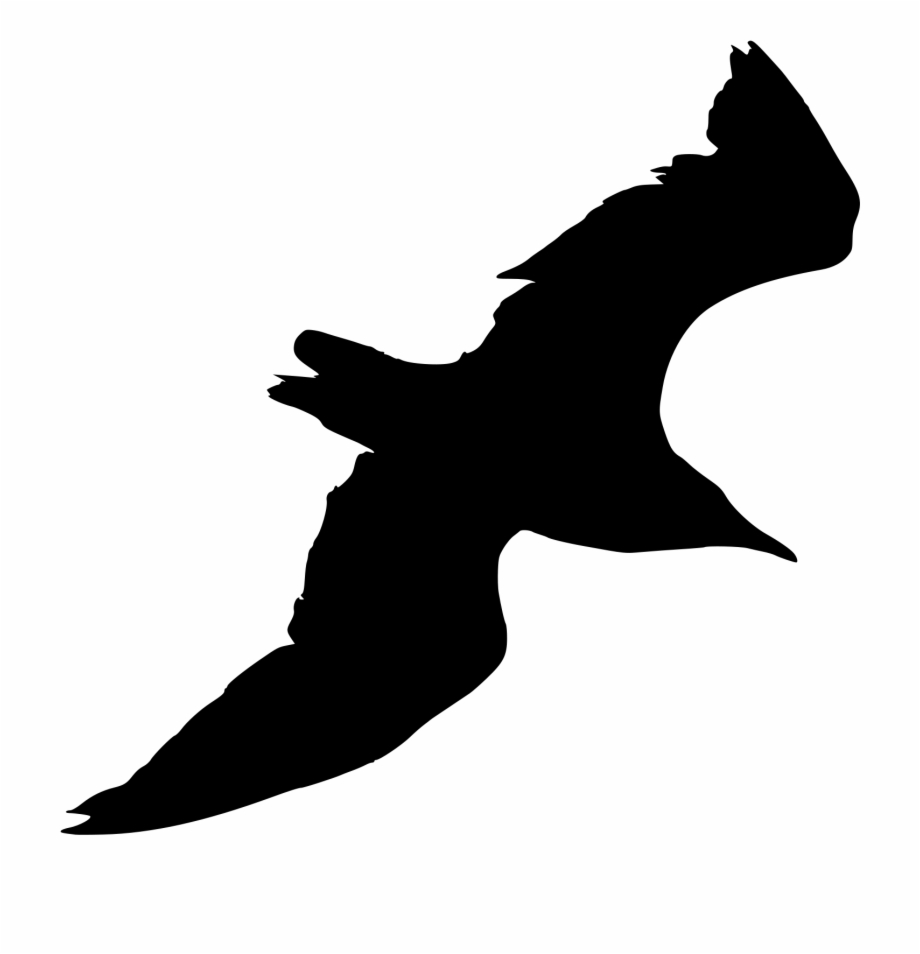 seagull silhouette