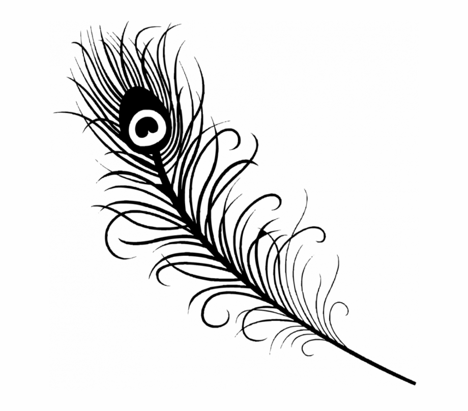 Medium Size Of Coloring Page Peacock Feather Drawing