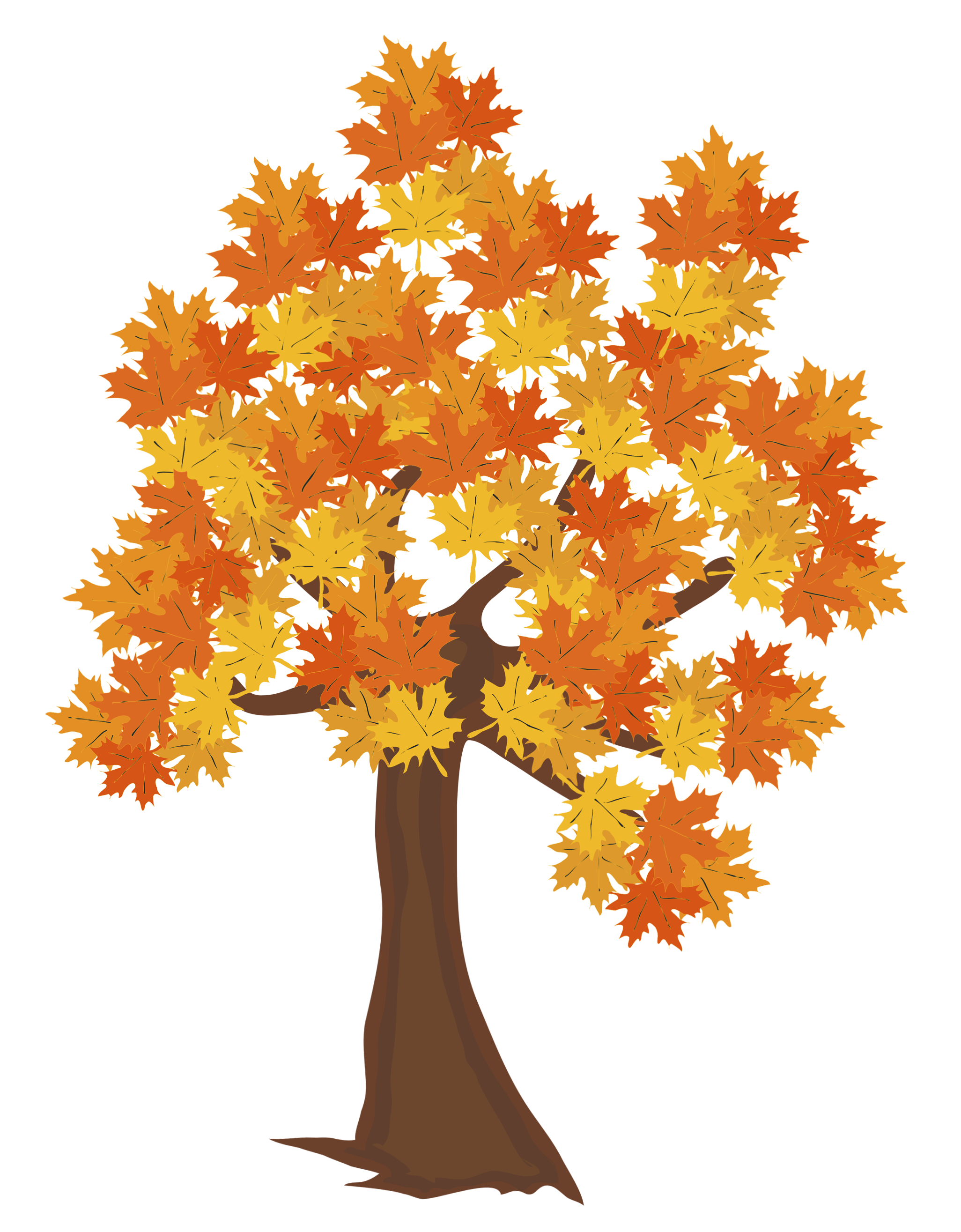 Free Fall Tree Transparent, Download Free Fall Tree Transparent png