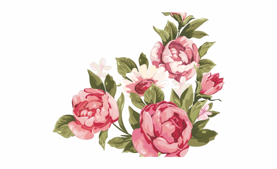 Peony Clipart Floral Accent Transparent Background Rose Clipart