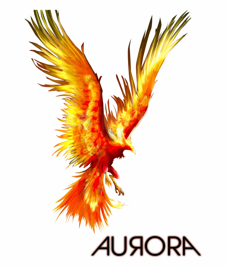The Phoenix Phoenix Bird Image Png
