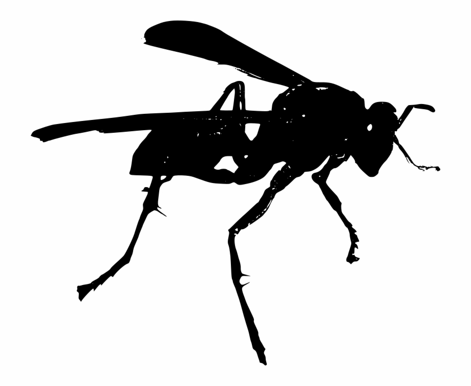 Dragonfly Clipart Free Wasp Clipart Black And White