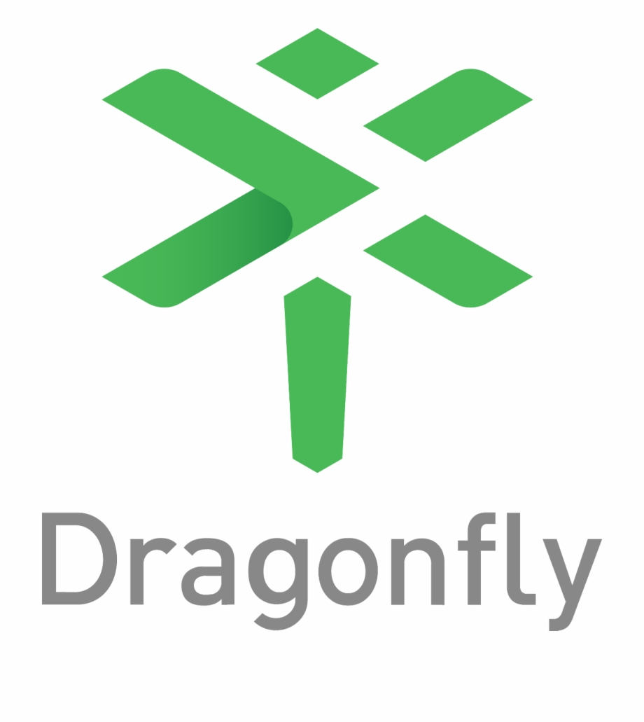 Dragonfly Logo Png Graphic Design