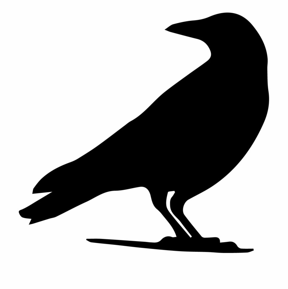 silhouette of a raven
