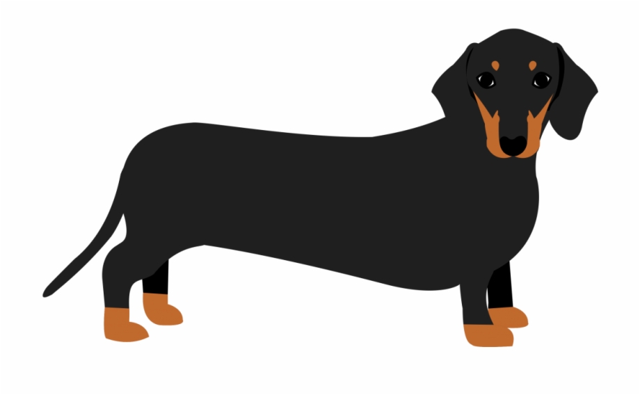 Dachshund Png Dachshund