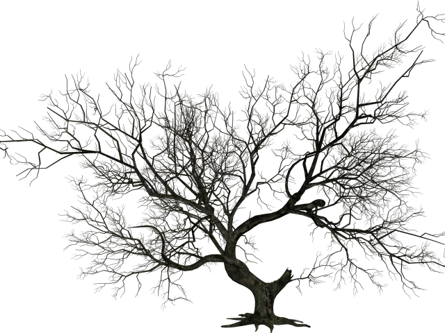 Graveyard Clipart Halloween Tree Dead Tree Png Png