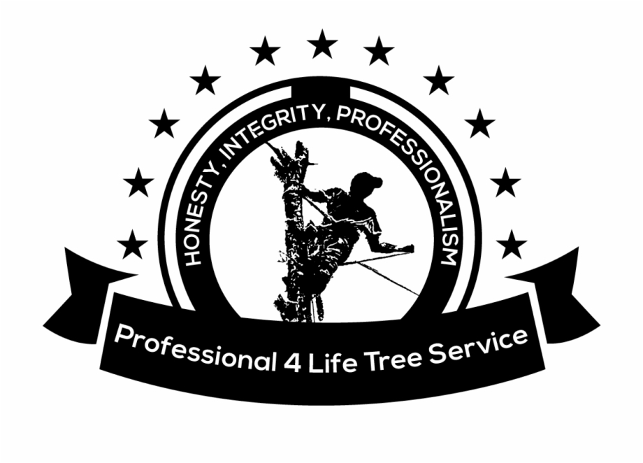 Professional 4 Life Company Logo Silhouette