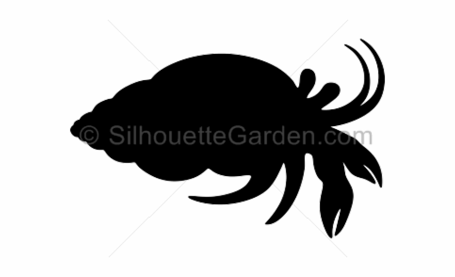 Hermit Crab Silhouette