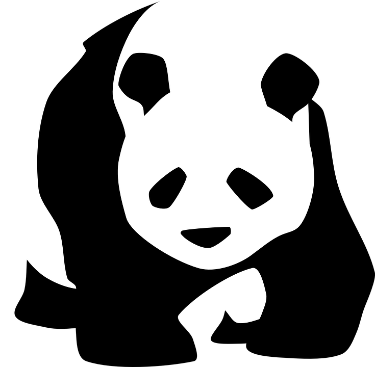 Panda Black And White