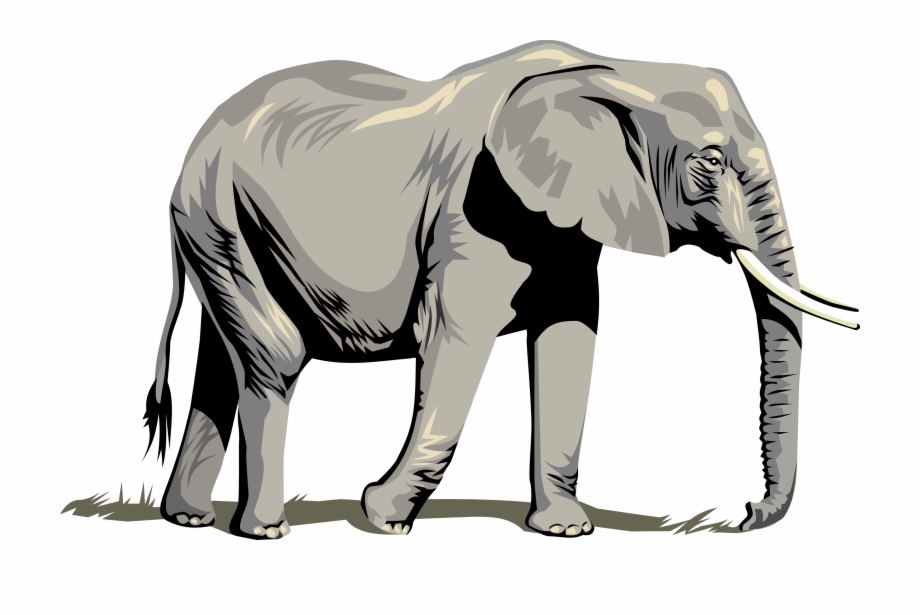 transparent background elephant clipart
