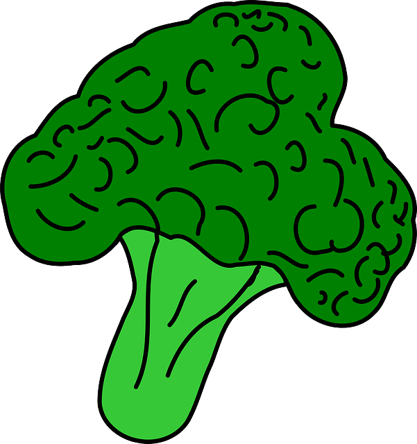 broccoli clip art
