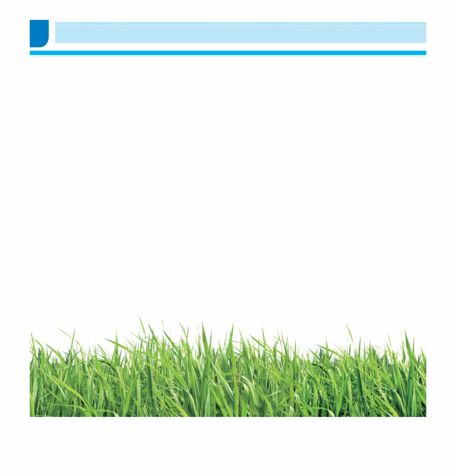 Brochure School Grass Lawn Meadow Png Image With