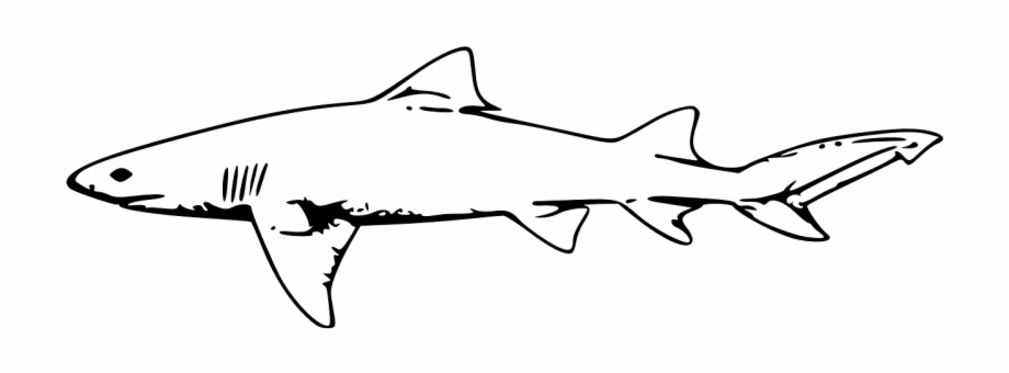 shark clipart black and white
