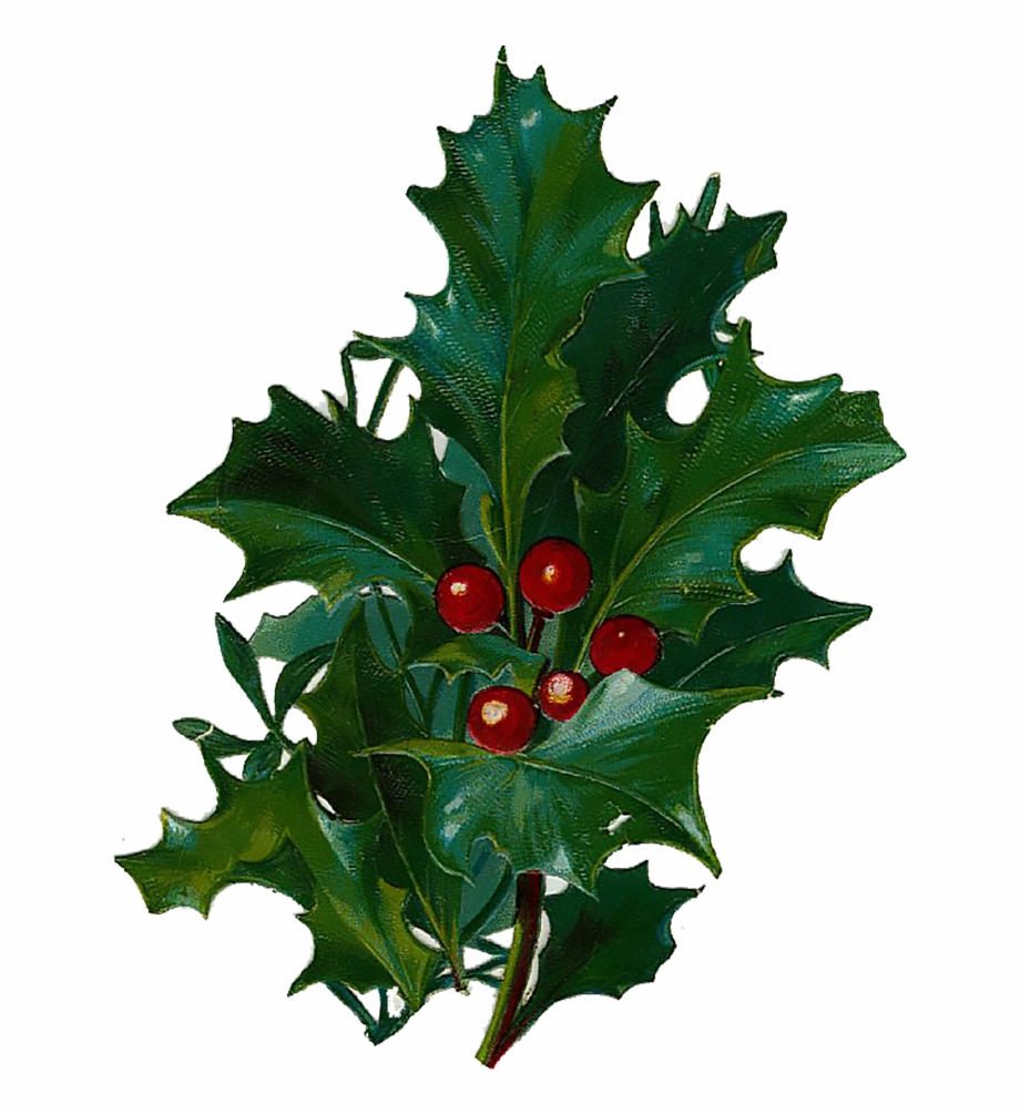 Transparent Holly Old Fashioned Victorian Clip Art Christmas
