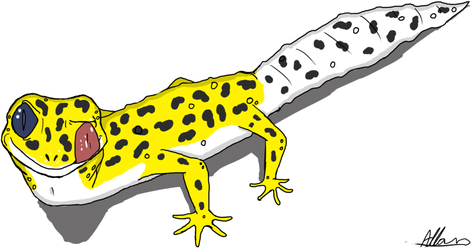 Salamander Free On Cartoon Leopard Gecko Drawings