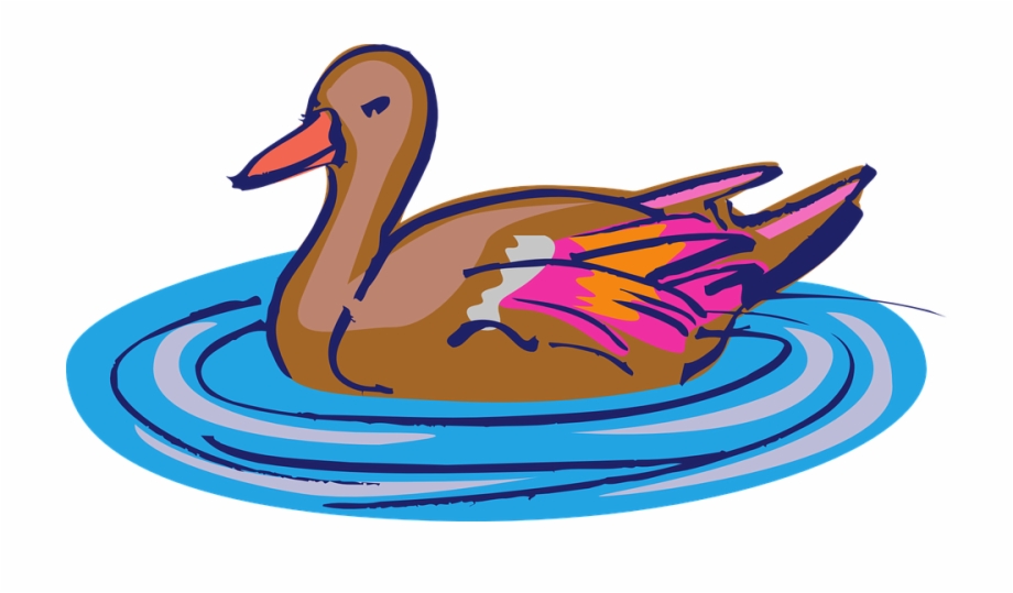 Ducks Clipart Swimming Water Bird Clip Art