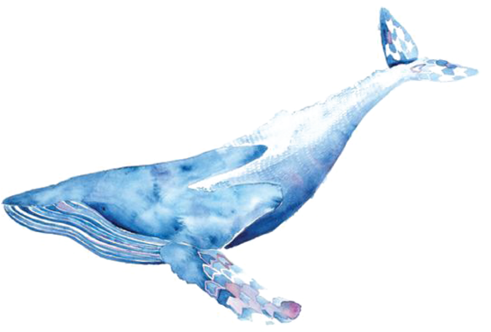 Freetoedit Sticker By Hanjo Rafael Blue Whale Watercolour