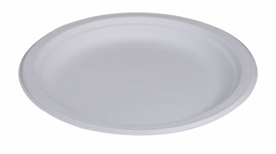 Molded Fibre Plates And Bowls Chinet White Plate