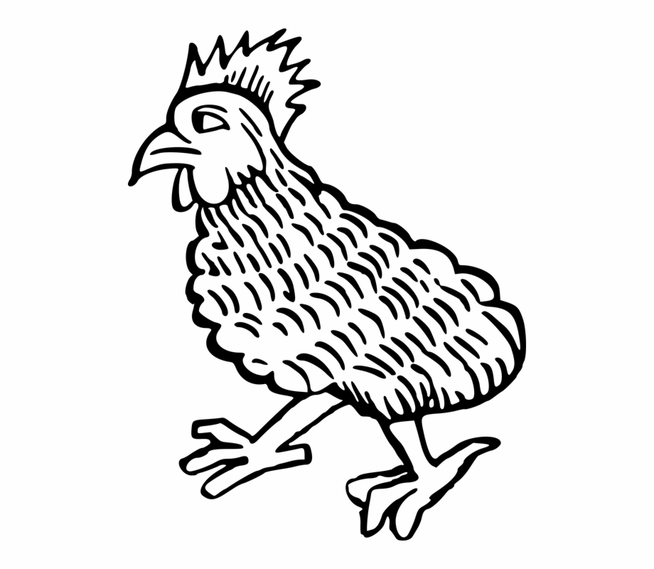 Bird Chicken Cock Hen Stylised Stylized Cch Iu