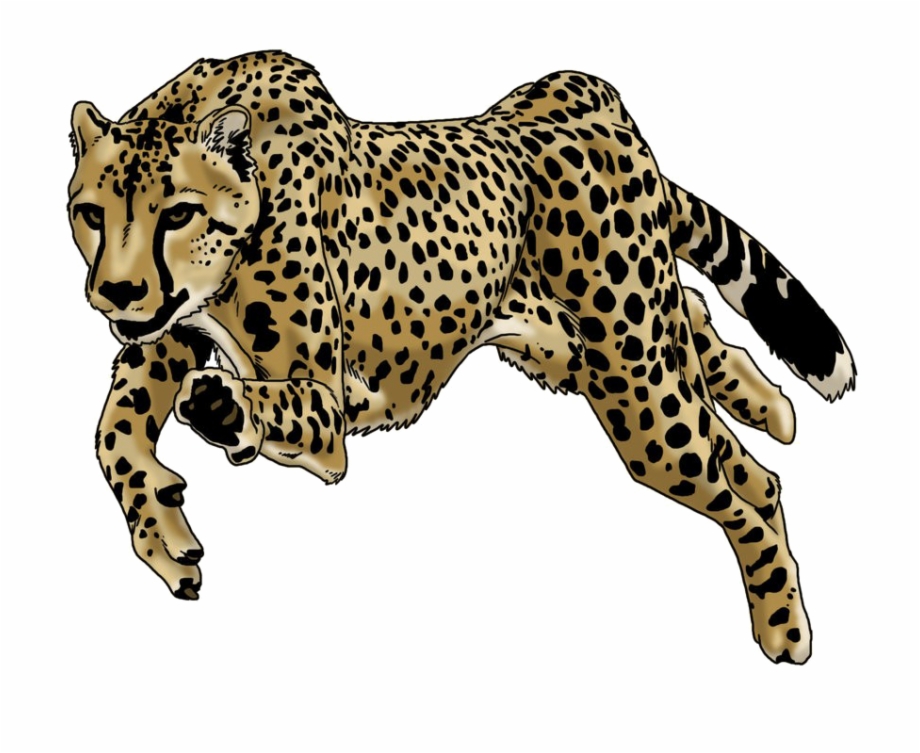 Running Leopard Png Image Background Cheetah Drawing Running
