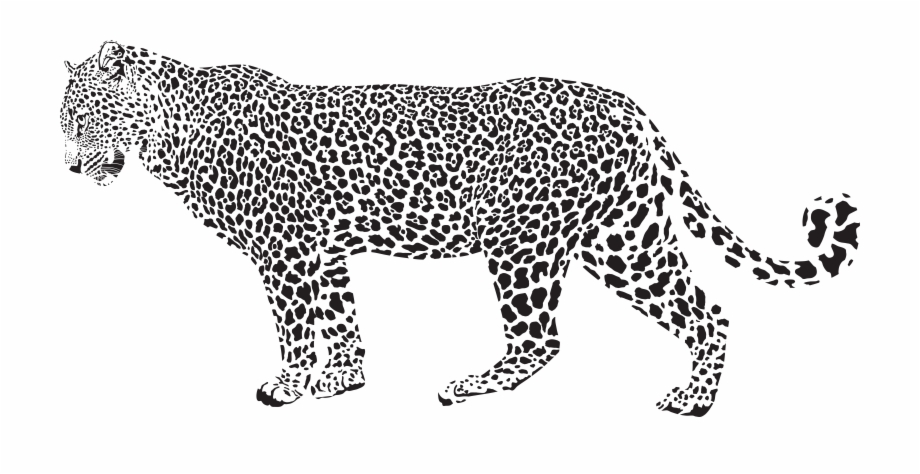 Clip Library Library Snow Cheetah Clip Art Jaguar