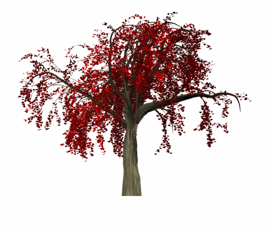 Tree Png Fall