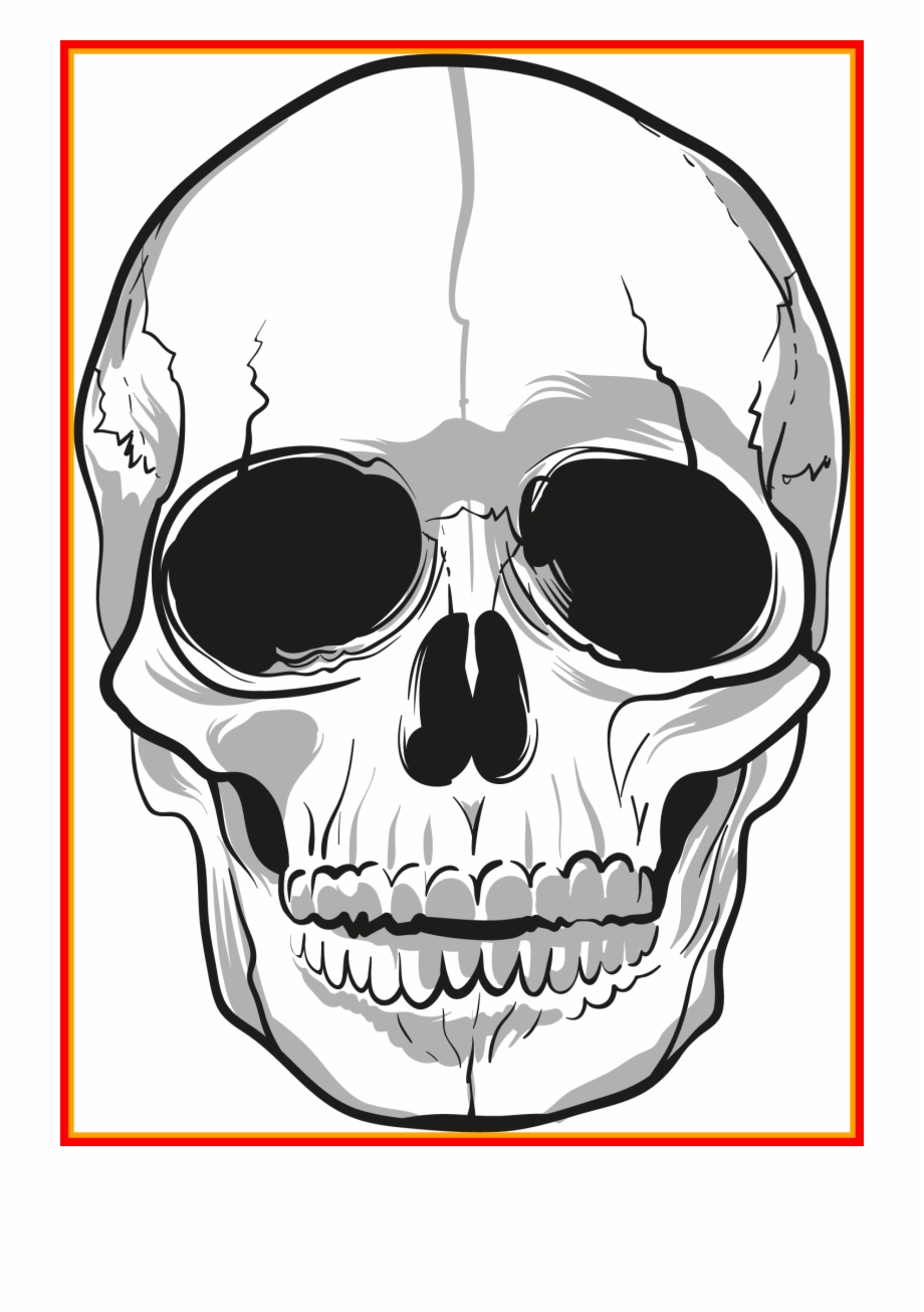 Skull Clipart Png