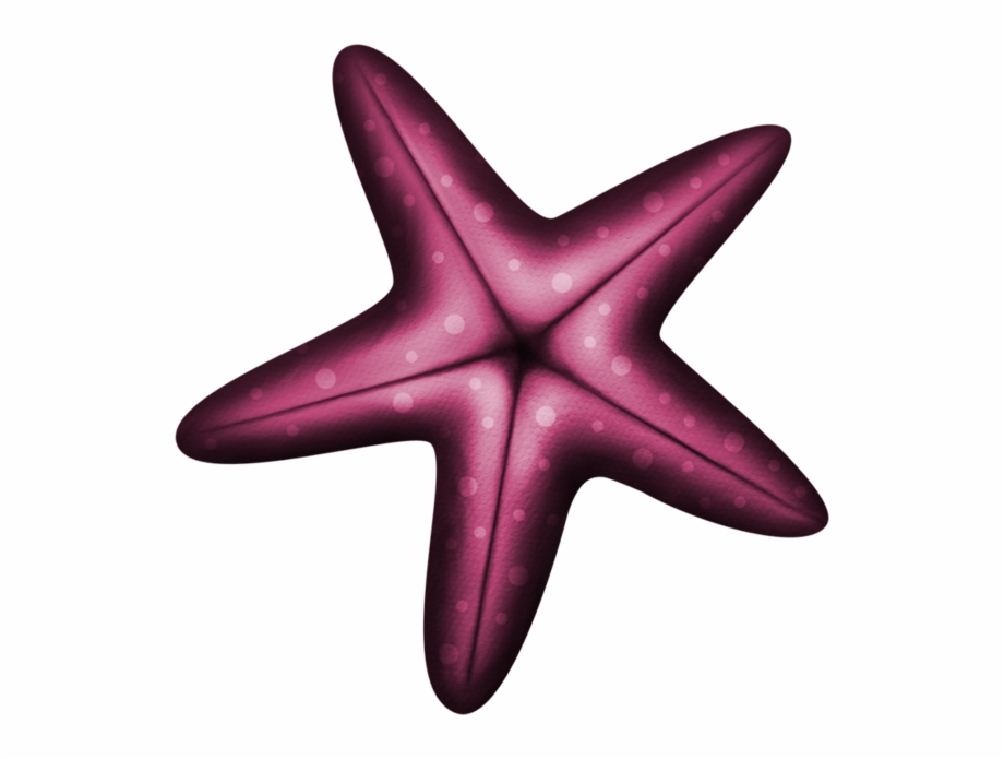 Starfish Clip Art Pictures Estrela Do Mar Lilas